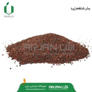 بذر شلغم زرد ( سوئدی )