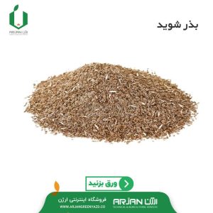 بذر شوید پا بلند اردستان (سورت شده)