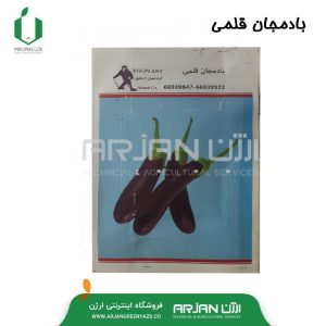 بذر بادمجان قلمی بسته بندی خانگی ( حجم 10 گرمی )