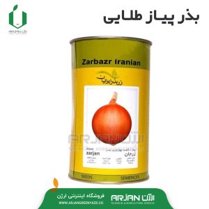 بذر پیاز طلایی قوطی 500 گرمی زربذرایرانیان