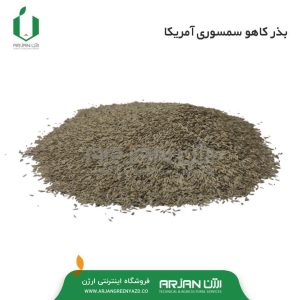 بذر کاهو سیاه سوری آمریکا ( کاملا سورت شده میباشد )