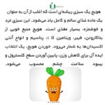 بذر هویج فرنگی نانتیس ( بسته بندی خانگی )