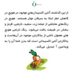 بذر هویج فرنگی نانتیس ( بسته بندی خانگی )