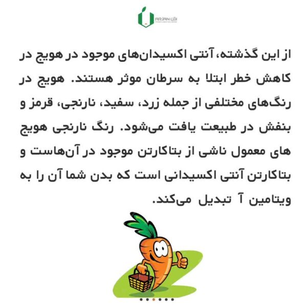 بذر هویج فرنگی نانتیس ( بسته بندی خانگی )