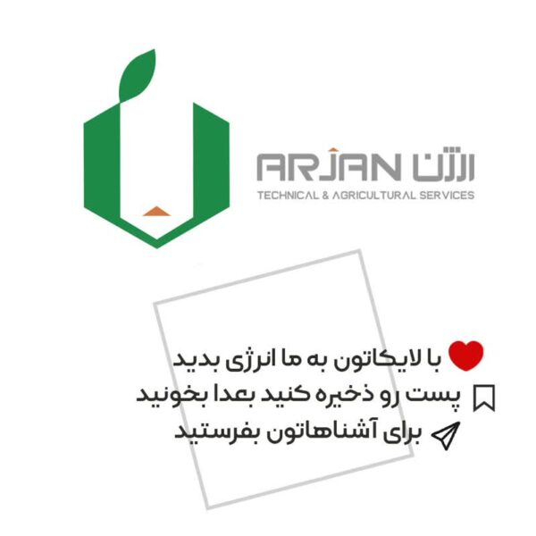 بذر هویج فرنگی نانتیس ( بسته بندی خانگی )