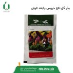بذر تاج خروس پابلند الوان