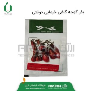 بذر گوجه گلابی خرمایی درختی