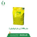 بذر باقلا ( زر بذر ایرانیان )