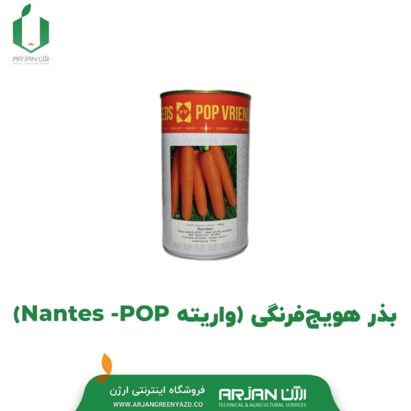 بذر هویج فرنگی ( واریته POP _ NANTES )