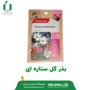 بذر گل ستاره ای