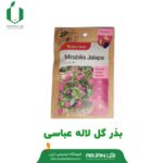 بذر گل لاله عباسی