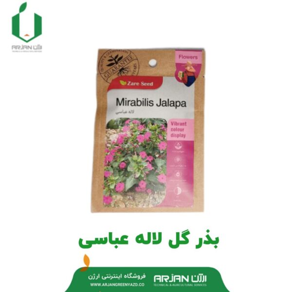 بذر گل لاله عباسی