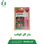 بذر گل کوکب