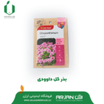 بذر گل داوودی