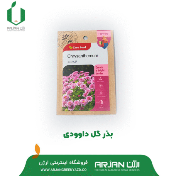 بذر گل داوودی