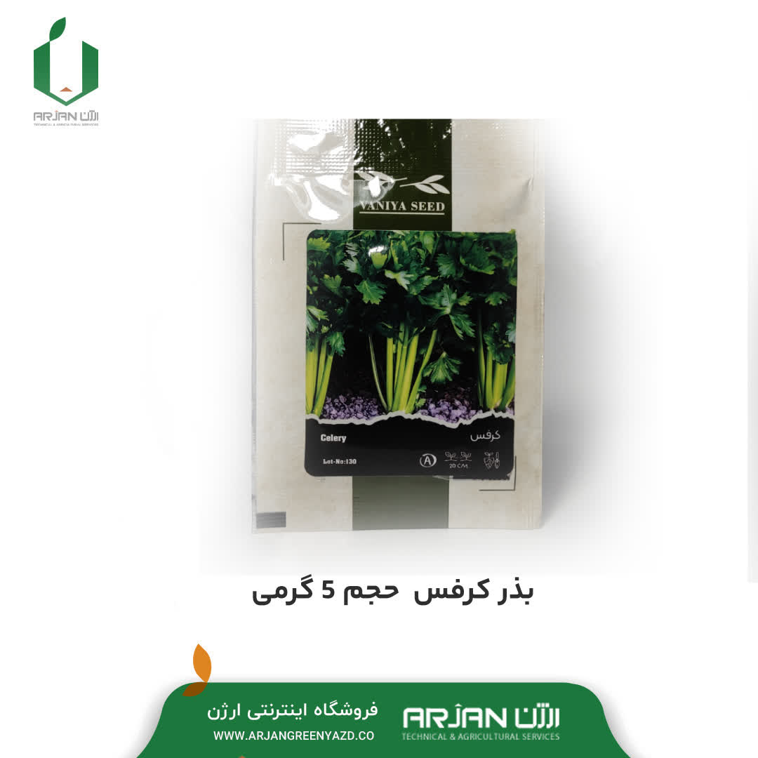 بذر کرفس حجم 5 گرمی