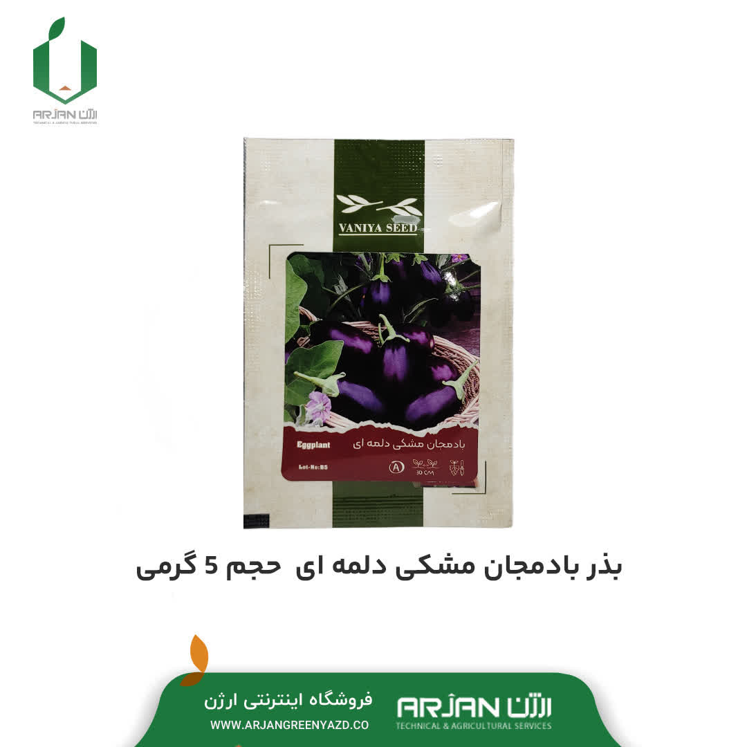 بذر بادمجان مشکی دلمه ای
